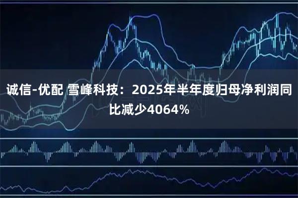 诚信-优配 雪峰科技:2025年半年度归母净利润同比减少4064%