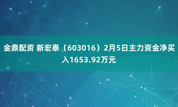 金鼎配资 新宏泰（603016）2月5日主力资金净买入1653.92万元