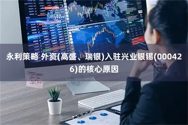 永利策略 外资(高盛、瑞银)入驻兴业银锡(000426)的核心原因